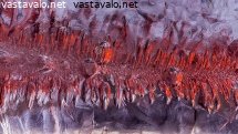 mielikuvitusmaailma