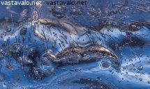 mielikuvitusmaailma