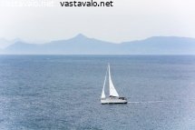 purjevene
