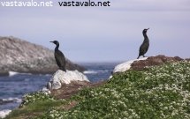 katsovat-eri-suuntiin