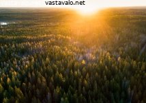 aamu-liesjarven-kansallispuistossa