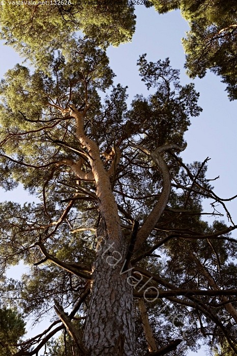 Paras musta porno koskaan tehty