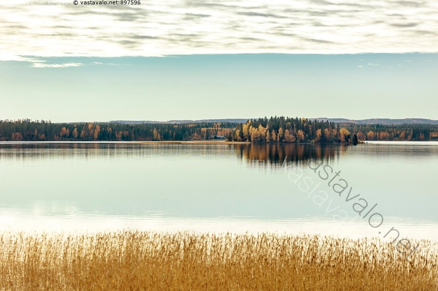 kuva-saari-tyynell-j-rvell-saari-mets-inen-mets-tyyni-tyven