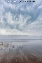 usva-leijuu-jarvella