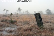 rajapyykki