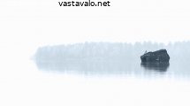 kivi-ja-niemi
