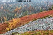 rakkaa-ja-ruskaa