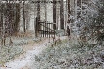polku-portista