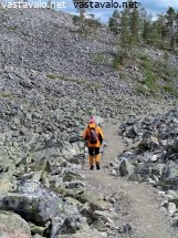 kellostapulikurun-vaeltaja