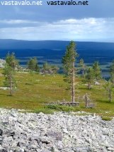 tummat-sadepilvet-tunturissa