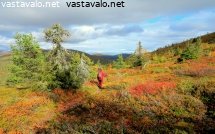 keimiotunturin-maaruskaa