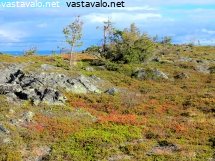 alalaen-huippu-ja-maaruska
