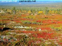 kesangin-syksyinen-ruskamaisema