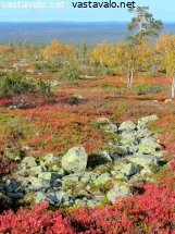 kesangin-ruskamaisema