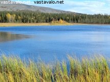 tunturijarvi-ja-jangan-koivusaareke