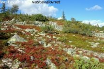 aakenuksen-ruskamaisema