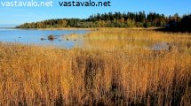 perameren-syksyinen-rantamaisema