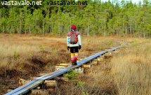 pitkospuiden-vaeltaja