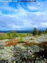 haavepalon-ruskamaisema