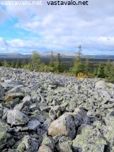 haavepalo-ja-maisema-jankaeramaahan