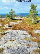 sarkitunturin-kalliot-ja-vaelluspolku