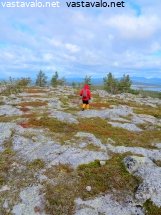 sarkitunturin-ruska-ja-vaeltaja