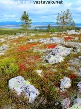sarkitunturin-ruskamaisema-ja-jerisjarvi