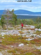 sarkitunturin-syksyinen-ruskavaeltaja