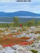 sarkitunturi-ja-ruskavaeltaja