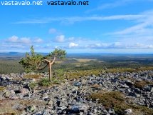 kellostapulin-manty-ja-jankamaisema