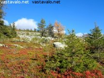 aakenuksen-ylarinne-ja-syksyinen-ruska
