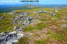 keimiotunturin-maisema-sammaltuntureille-ja-pallakselle