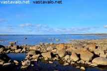 martinkarvon-matalaa-rantakivikkoa