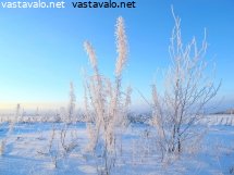 kuurainen-merenranta