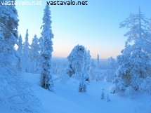 tykkylumi-ja-sininen-hamara-2