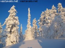 yllastunturin-lumisilla-rinteilla