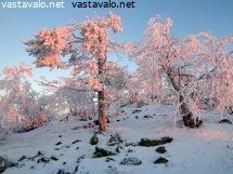 auringonnousu-yllastunturilla