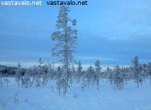 lapin-janka-iltahamaralla