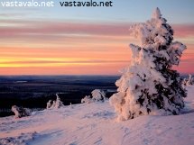auringonlasku-ja-tykkylumipuut