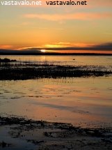 rantakaislikko-ja-auringonlasku