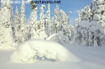 yllastunturin-tykkylumilla