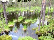 heijastukset-jankalammella