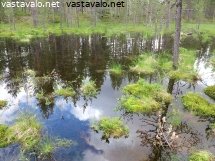 jankalampi