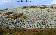 syksyinen-tunturin-rinne