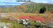 kellostapuli-ja-syksyn-ruskaa