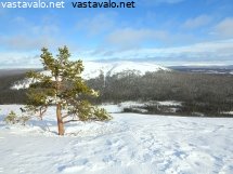 kellostapulitunturin-talvimaisema