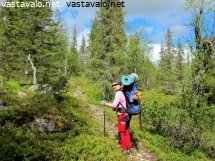 vaeltajan-pysahdys-tunturipolulla