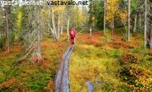 syksyn-vaeltaja-pitkospuilla-2