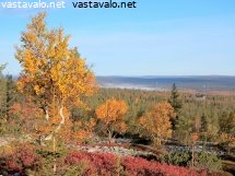 yllastunturin-ruskaa