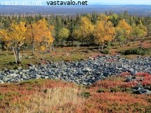 tunturin-syksyinen-ruska